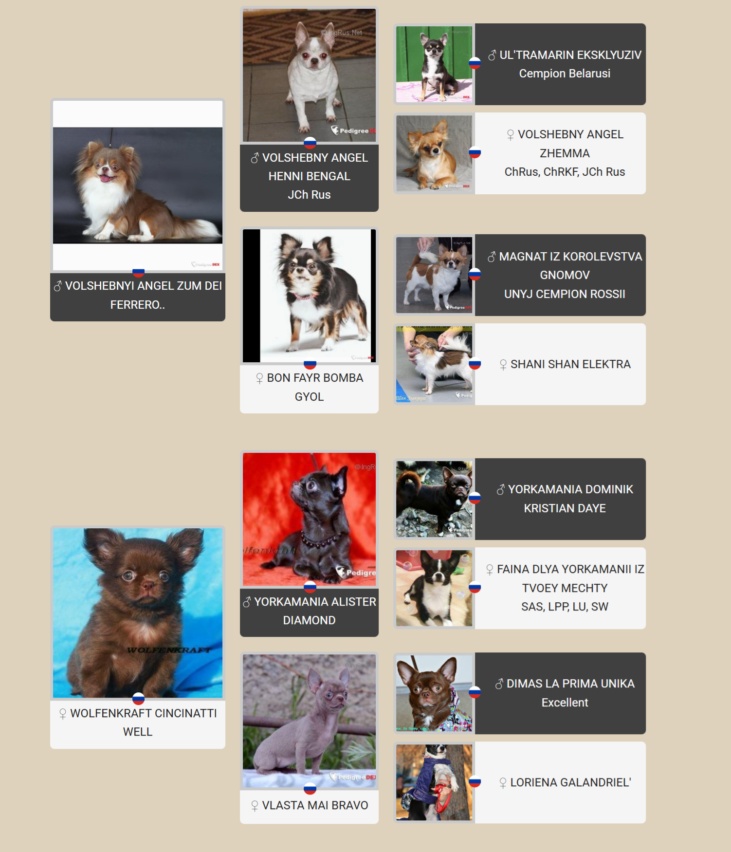 Малюнок з родовідом