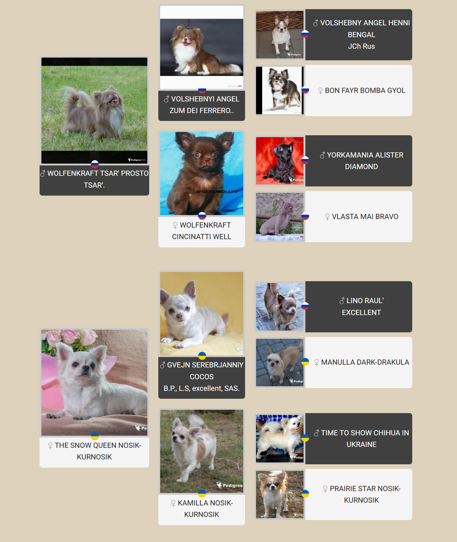 Картинка с родословной