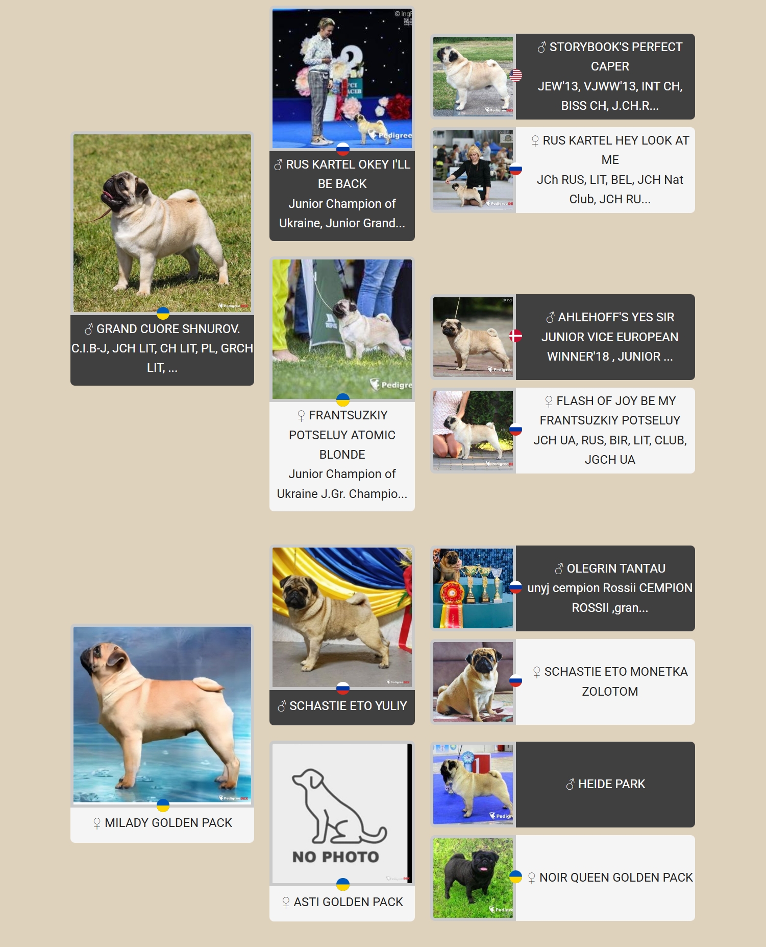 Картинка с родословной