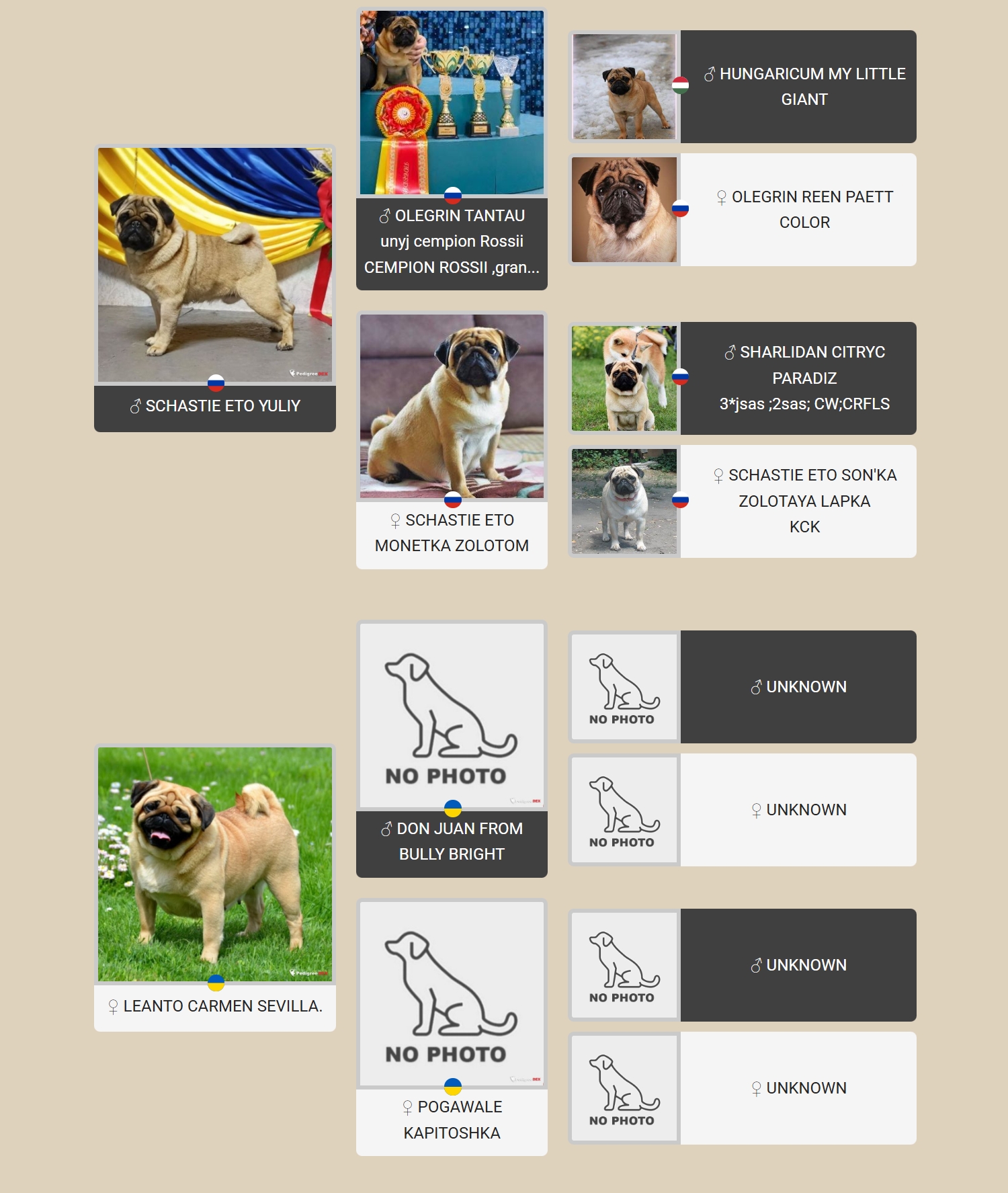 Картинка с родословной