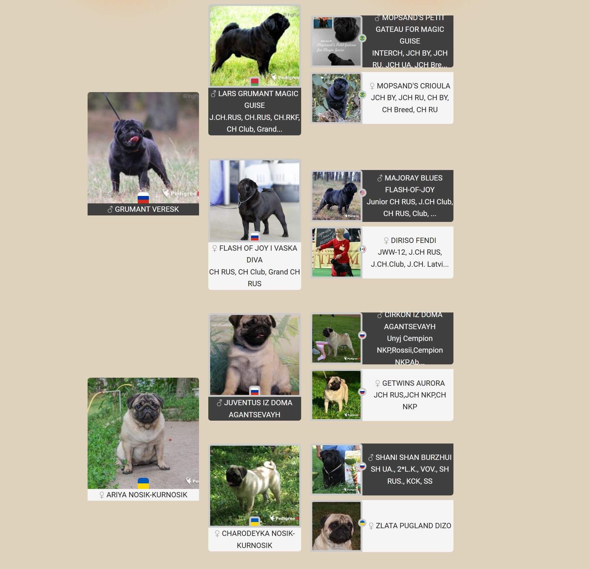 Картинка с родословной