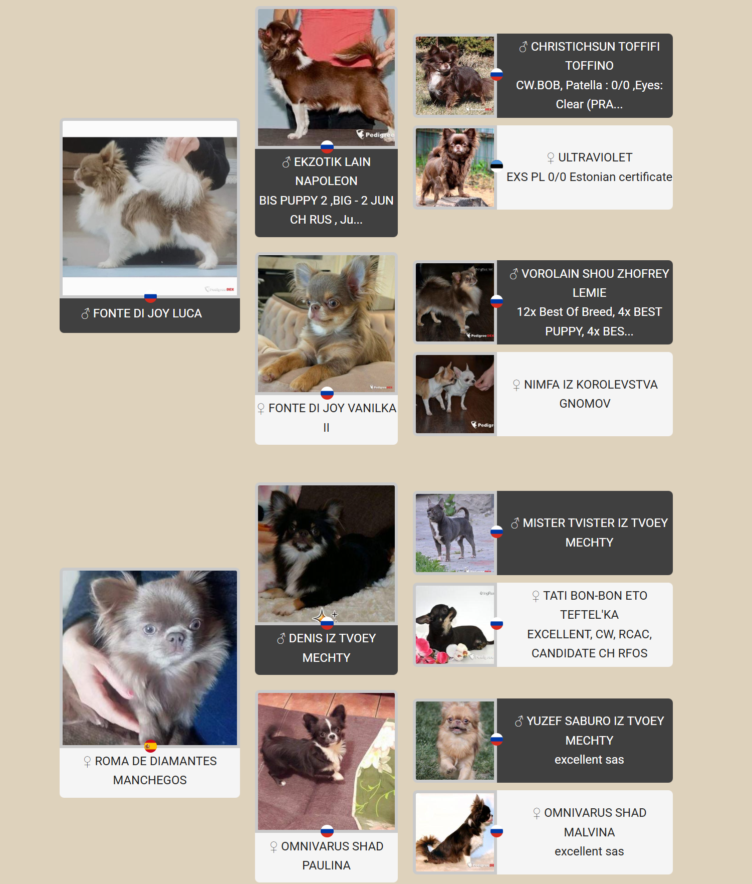 Картинка с родословной